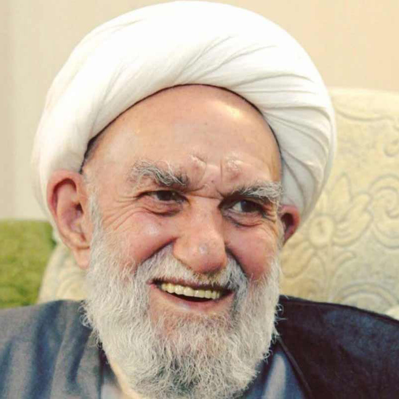 آیت الله محمد علی ناصری