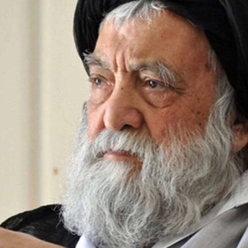 آیت الله سید مرتضی مستجاب الدعواتی