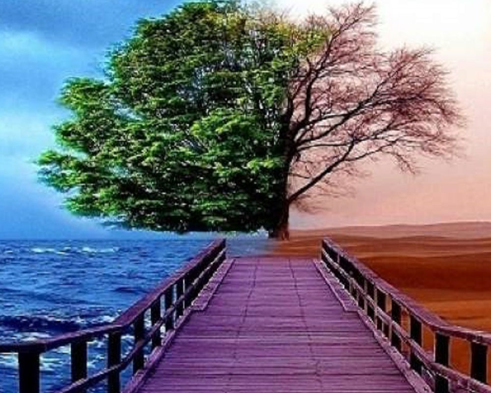 ماجراهای واقعی ازلحظه ی مرگ